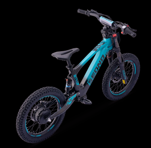 Preview: Elektro Apollo Fahrrad Sedna SX 18"